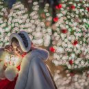 제이트리 이미지