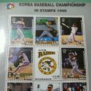 군산트라이(쌍방울) 이미지