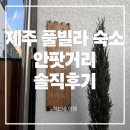 해수욕장12길 | 🏡 제주 풀빌라 숙소 안팟거리 내돈내산 후기