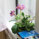 프라임민박 이미지