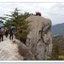 단양-단양-01 Daum카페