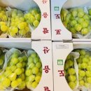 착한과일유통