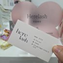 우신광택 | 인천 구월동 예술회관역 ‘히얼래쉬’ 물광속눈썹펌 후기 | 유지력 끝판왕 + 깔끔한 매장 + 친절한 사장님