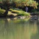 차마시기 이미지