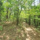 엄사면 엄사리 226 4 이미지