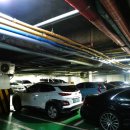 케렌시아 솔 이미지