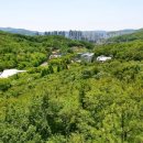 예술 산책 이미지