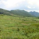 평원상회 이미지