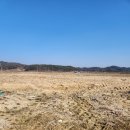 부용부동산공인중개사무소 이미지