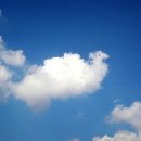 솔빛농장 이미지