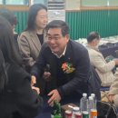 법인무정
