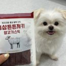 얌얌스낵 | 레디펫고 제품만 4번째 리뷰, 집착 집사가 고른 '홍삼튼튼져키' 솔직 후기
