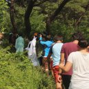 정일도장 이미지