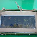 조성동농장 이미지