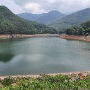 옹심이팥죽 이미지