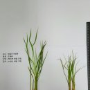 전남농약사 이미지