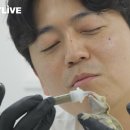 도전자네 농장 이미지