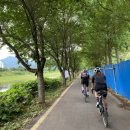 윤호축산 | 2020 가람유원지 (가평 여름 계곡) 후기