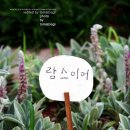 아름다운정원 - 성남시 중원구 도촌로8번길 20 | 아름다운정원