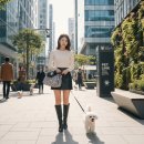 Paxi(팩시) 이미지