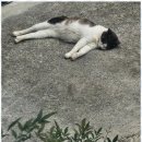 뮤즈세움