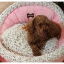 착한호프 이미지