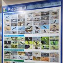 디엠에코서비스(주) | 2026 청년 에코투어 탐사단 1일차 [창원 편] - 주남저수지와 창원수목원