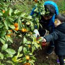 종해농장 이미지