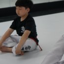 국가대표 금메달 태권도장 이미지