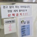 공단로(북) | 반려마루 화성 강아지 봉사-2025년 2월