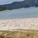 보길통리해수욕장 Daum카페