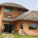 연꽃이야기 이미지