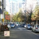 양지의료기 네이버블로그