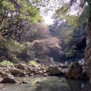 안덕버스정류장 이미지