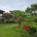 해찬솔가 이미지