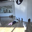 별숲마루 | 천안 고양이카페 냥이마루 아이랑 가기 좋은 개냥이 놀이터