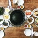 메밀꽃돼지