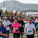 여주종합운동장 복합체육관 이미지