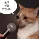 세흥병원 | 왓츠 인 마이 병원 volg 🏥