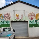 신안당구장 이미지