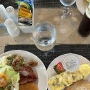 세부여행 3일차 : 보홀로드 트립 고래상어 투어 (내돈내산) / 레드크랩 / 할로망고 재방문
