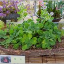 홍천한우 이미지