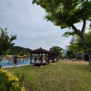 봉래산 실외정원 공공체육시설 | <교육기관 / 전남 목포 환경부 전시·관람 국립호남권생물자원관 탐방 후기 아이와 함께>