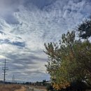 은혜헤어나라 이미지