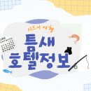 시드니호텔투 이미지