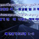 하늘보라 이미지