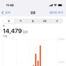 나들이구제