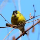 행복나름이 이미지