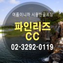 세이브투어 이미지