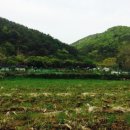 꽃길을 따라서 체험학습장 이미지